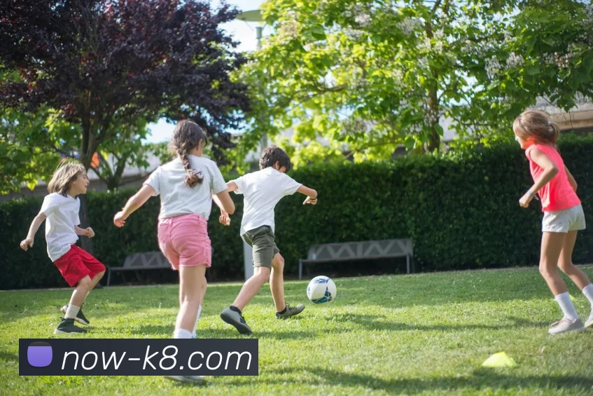 凯发娱乐APP 封面图